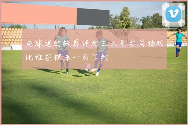 老球迷的较真评测三大平台同场对比谁在裸泳一目了然